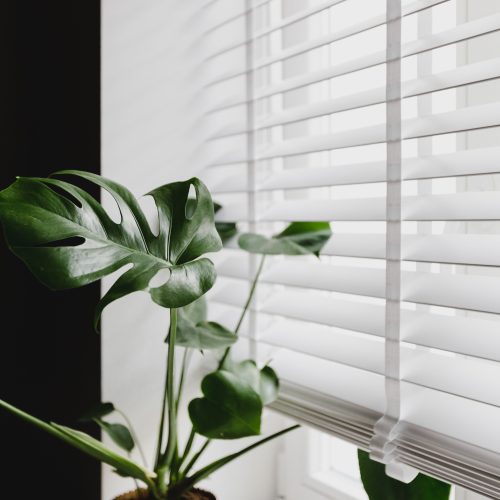 żaluzja drewniana biała